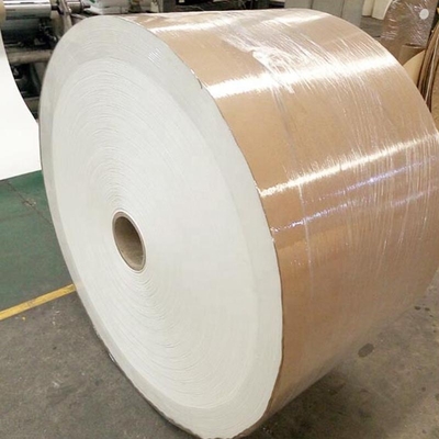 Paper Cup Manufacturers Double Pe Coated Paper Blank Rolls Raw Material