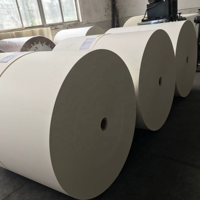 Paper Cup Manufacturers Double Pe Coated Paper Blank Rolls Raw Material