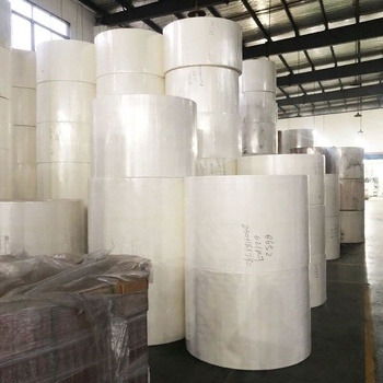 Paper Cup Manufacturers Double Pe Coated Paper Blank Rolls Raw Material