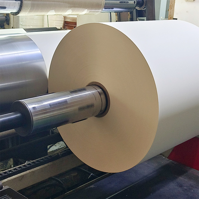 Food Grade PE Coated Wood Pulp Roll Custom Paper Pe Coated Paper Cup Roll Raw  Material for Paper Cups