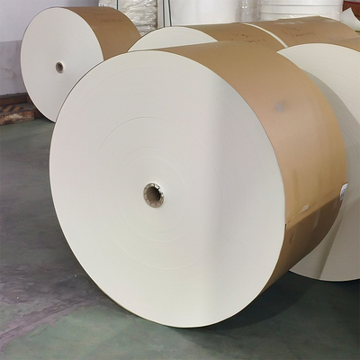 Food Grade PE Coated Wood Pulp Roll Custom Paper Pe Coated Paper Cup Roll Raw  Material for Paper Cups