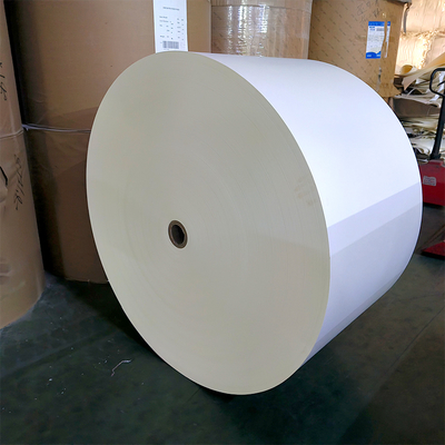 Food Grade PE Coated Wood Pulp Roll Custom Paper Pe Coated Paper Cup Roll Raw  Material for Paper Cups