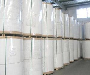 Pe Lamination Paper Raw Rolling Paper/ Pe Coated Raw Materials for Coffee Paper Cups Free Customized Beverage
