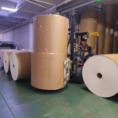 High Quality Wood Pulp Production Food Grade Coating Paper Cup Rolls Raw Materials Pe Coated Paper Cup  Roll