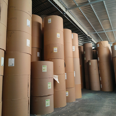 High Quality Wood Pulp Production Food Grade Coating Paper Cup Rolls Raw Materials Pe Coated Paper Cup  Roll