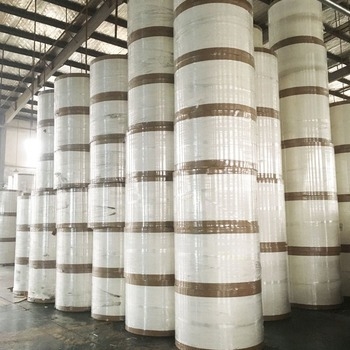 PE Coated Raw Material Food Packing White Cup Fan Color Paper Pe Coated Paper Cup Roll Raw  Material for Paper Cups