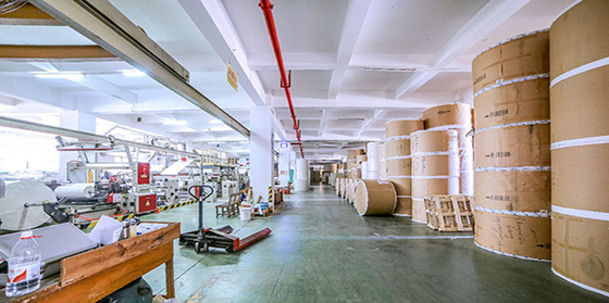 PE Laminated Pe Coated Paper Cup Roll Raw  Material for Paper Cups for Raw Materials of  Bag Ocb Raw Rolling