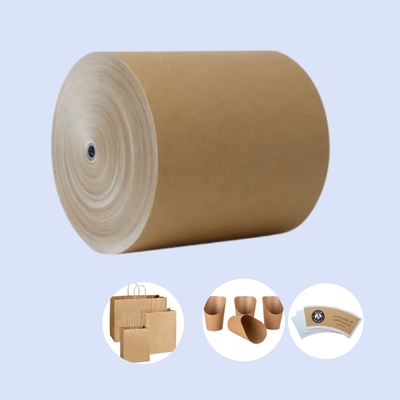 White Top Kraft Liner Paper Jumbo Roll in Cheap Price