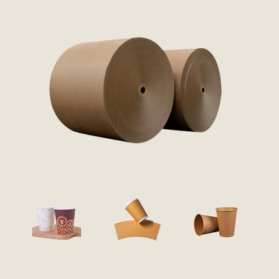 White Top Kraft Liner Paper Jumbo Roll in Cheap Price