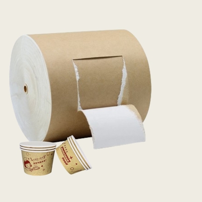 Clearance Sale Coated Kraft Back Board(CKB) Large Quantity Discount One Side White and One Side Brown