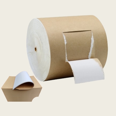 Clearance Sale Coated Kraft Back Board(CKB) Large Quantity Discount One Side White and One Side Brown