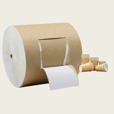 Clearance Sale Whitetop Kraft Back CKB Paper Board
