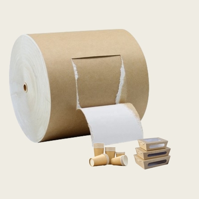 Ckb High Quality 250gsm White Front Coated Kraft Back Paper Board Paper Rolls