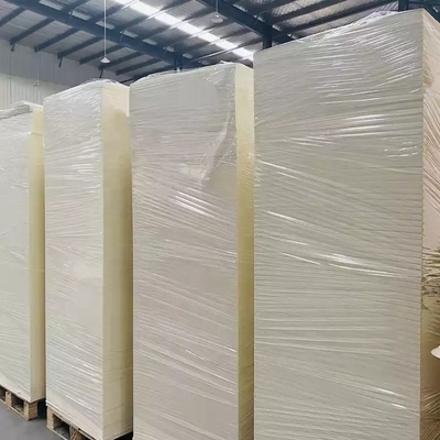 Paper Cups Raw Materials  100% Virgin Bagasse Pulp  PE Coated Paper Cup Sheet