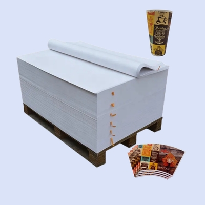 High Bulk  Waterproof Pe Coated Paper in Sheet