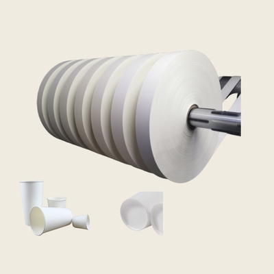 Factory First Hand Price for Paper Cup PE Coated Paper Roll Cup Bottom Roll for Coffee Paper Cup