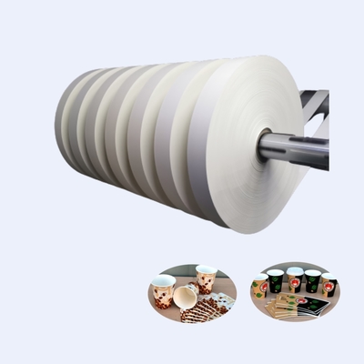 Factory First Hand Price for Paper Cup PE Coated Paper Roll Cup Bottom Roll for Coffee Paper Cup