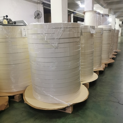 China Manufacture Single PE Coated Cup Bottom Roll for Disposable Cup