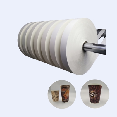 China Manufacture Single PE Coated Cup Bottom Roll for Disposable Cup