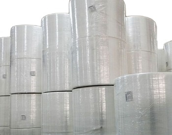 Pe/pla Coated White/craft Paper Cup Fan & Bottom Paper for Making 100% Biodegradable Paper Cups