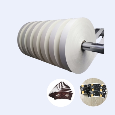 Double PE Paper Cup Bottom Roll Disposable for Cold Drinking