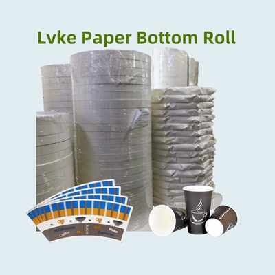 Double PE Paper Cup Bottom Roll Disposable for Cold Drinking Free Design