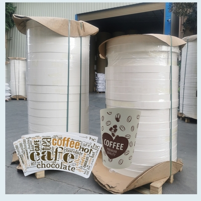 Double PE Paper Cup Bottom Roll Disposable for Cold Drinking Free Design