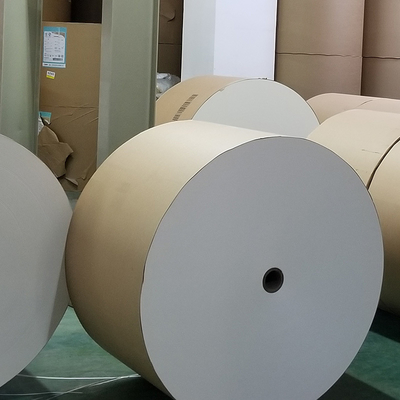 High Quality Wood Pulp Production Food Grade Coating Paper Cup Rolls Raw Materials Pe Coated Paper Cup  Roll