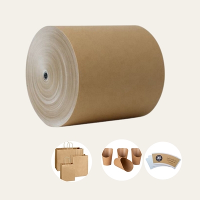 White Top Kraft Liner Paper Jumbo Roll in Cheap Price