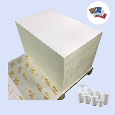 Waterproof Offset Printing PE Coated Paper in Sheet for Paper Cup Making Machine