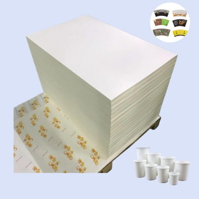 High Bulk  Waterproof Pe Coated Paper in Sheet
